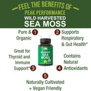 organic-sea-moss-capsules-wild-harvested-sea-moss--2.jpg