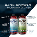 orgono-living-silica-collagen-booster-liquid-gel-vegan-mineral-based-supplement-for-skin-hair-nails-joints-375-greater-absorption-supports-collagen-elastin-production-3