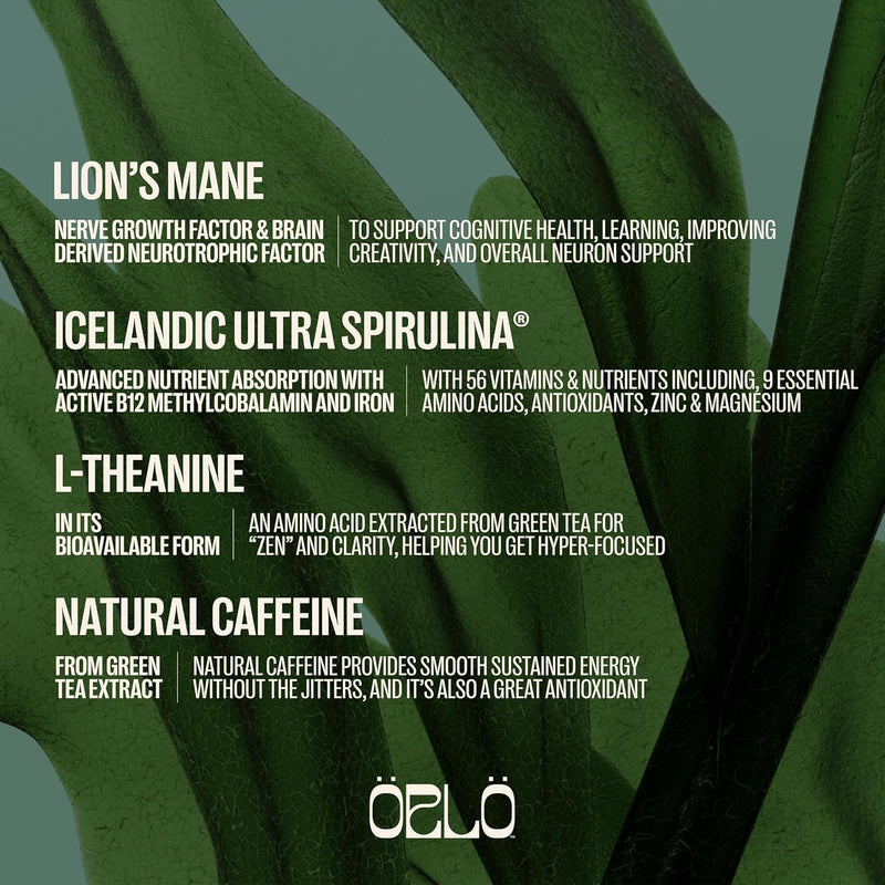 orlo-brain-performance-bar-vegan-protein-bars-for--5.jpg