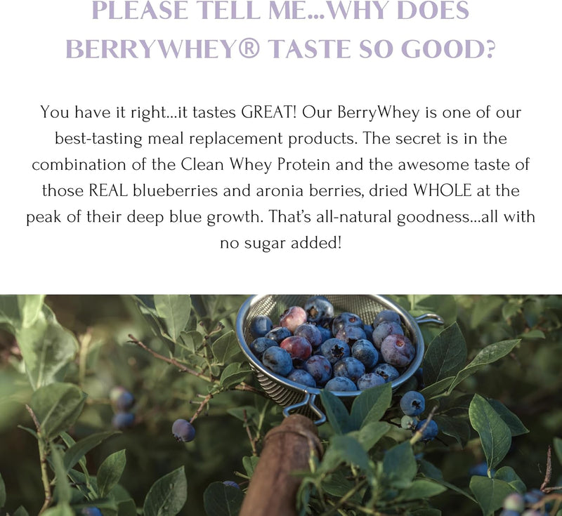 pacific-northwest-berrywhey-non-gmo-meal-replaceme-6.jpg