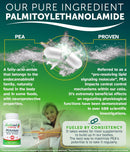 palmitoylethanolamide-450mg-comfort-mobility-nerve-3.jpg