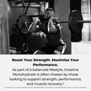 paradise-creatine-monohydrate-powder---micronized-for-enhanced-absorption---supports-muscle-building-athletic-performance---500g---100-servings-3