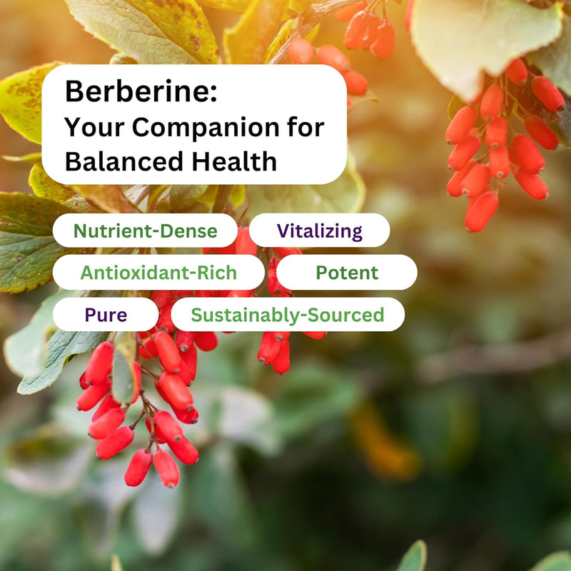 paradise-herbs-berberine-extract-500-mg-pure-poten-4.jpg