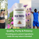 paradise-herbs-milk-thistle-active-whole-spectrum--5.jpg