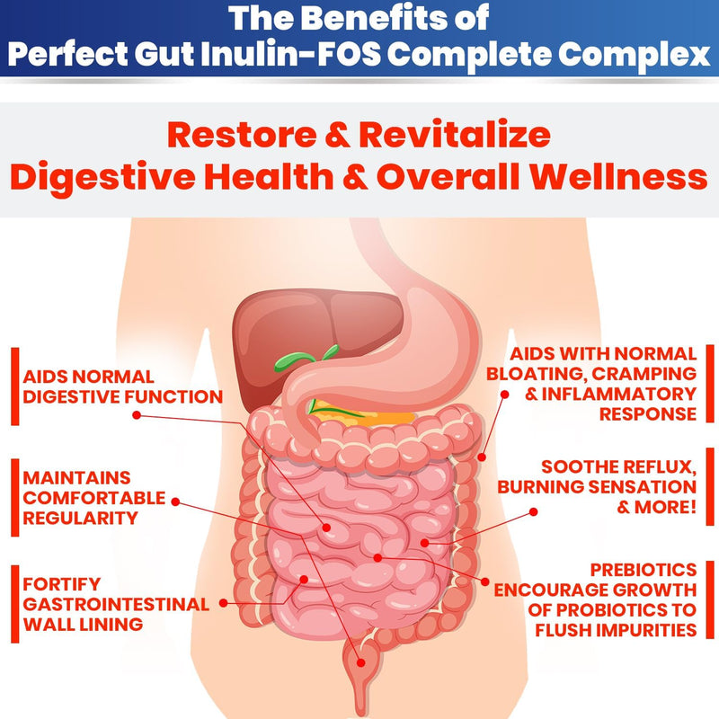 perfect-gut-inulin-fos-powder-for-gut-health-prebi-4.jpg