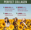 perfect-supplements-perfect-type-ii-collagen-150-capsules-all-natural-type-ii-collagen-pasture-raised-joint-health-support-3