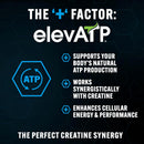 pescience-trucreatine-creatine-monohydrate-powder-micronized-creapure-creatine-for-women-men-supports-muscle-growth-strength-recovery-cognition-30-servings-unflavored-4