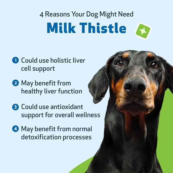 pet-wellbeing-milk-thistle-for-dogs---organic-supp-2.jpg