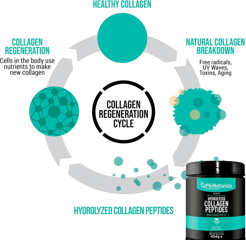 phinaturals-hydrolyzed-collagen-peptides-powder-unflavored-for-women-and-for-men---grass-fed-bovine-beef-collagen-4