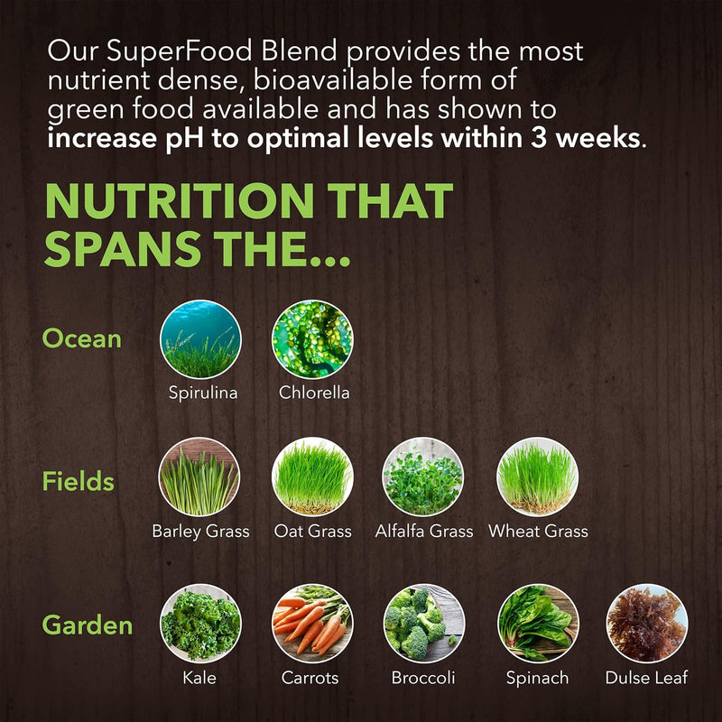 plantfusion-alkalizing-super-greens-powder---ferme-4.jpg