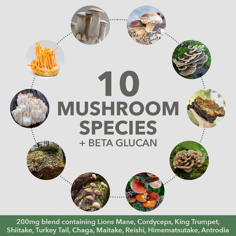 plantfusion-mushroom-protein-powder---3-in-1-vegan-5.jpg