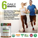 plantvital-vegan-protein-powder-plant-based-organic-protein-powder-chocolate-24g0g-sugar-12-superfoods-veggies-probiotics-raw-cocoa-kale-beets-spirulina-pea-gluten-free-keto-friendly32oz-2