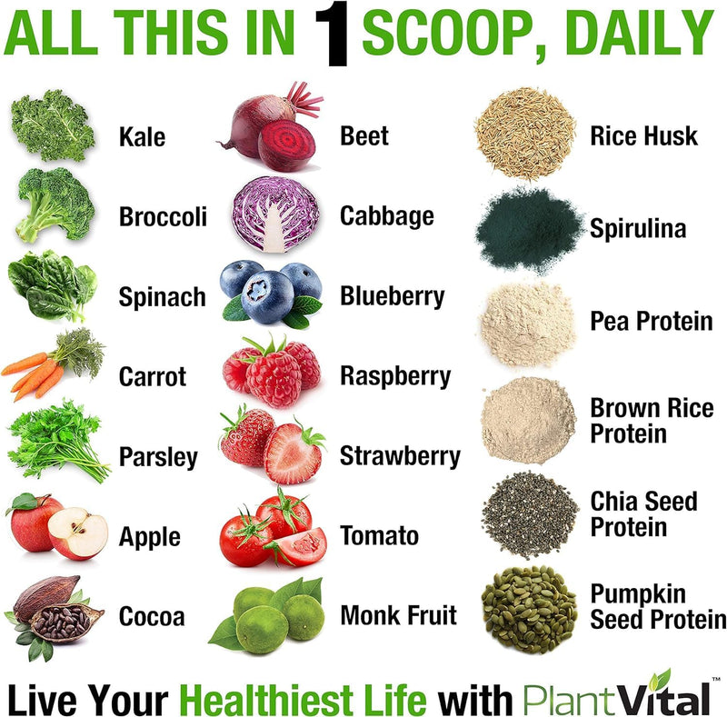 plantvital-vegan-protein-powder-plant-based-organi-3.jpg