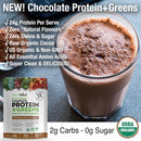 plantvital-vegan-protein-powder-plant-based-organic-protein-powder-chocolate-24g0g-sugar-12-superfoods-veggies-probiotics-raw-cocoa-kale-beets-spirulina-pea-gluten-free-keto-friendly32oz-4