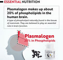 plasmalogen-sea-squirt-supplement---brain-health-supplement---30-days-supply-7