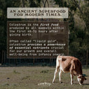 powder---bovine-colostrum-powder-for-women-men---first-day-milking-whole-colostrum---grass-fed-colostrum-supplement-for-gut-health-immunity-skin-hair-vanilla-40-servings-2