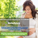 power-by-naturals-methyl-prenatal-with-probiotics-methylated-prenatal-vitamins-for-women-with-iron-b12-choline-ginger-and-27-essential-nutrients-60-capsules-7