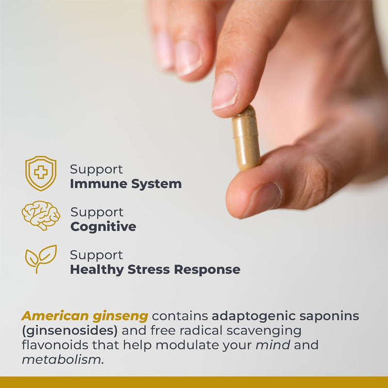 premier-research-labs-american-ginseng-supplement--4.jpg