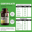 premium-quality-costus-igneus-insulin-plant-capsules---easy-to-swallow-240-veggie-capsules-2-month-supply---made-in-the-usa---including-complete-health-support-program-3