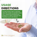 premium-quality-costus-igneus-insulin-plant-capsules---easy-to-swallow-240-veggie-capsules-2-month-supply---made-in-the-usa---including-complete-health-support-program-4