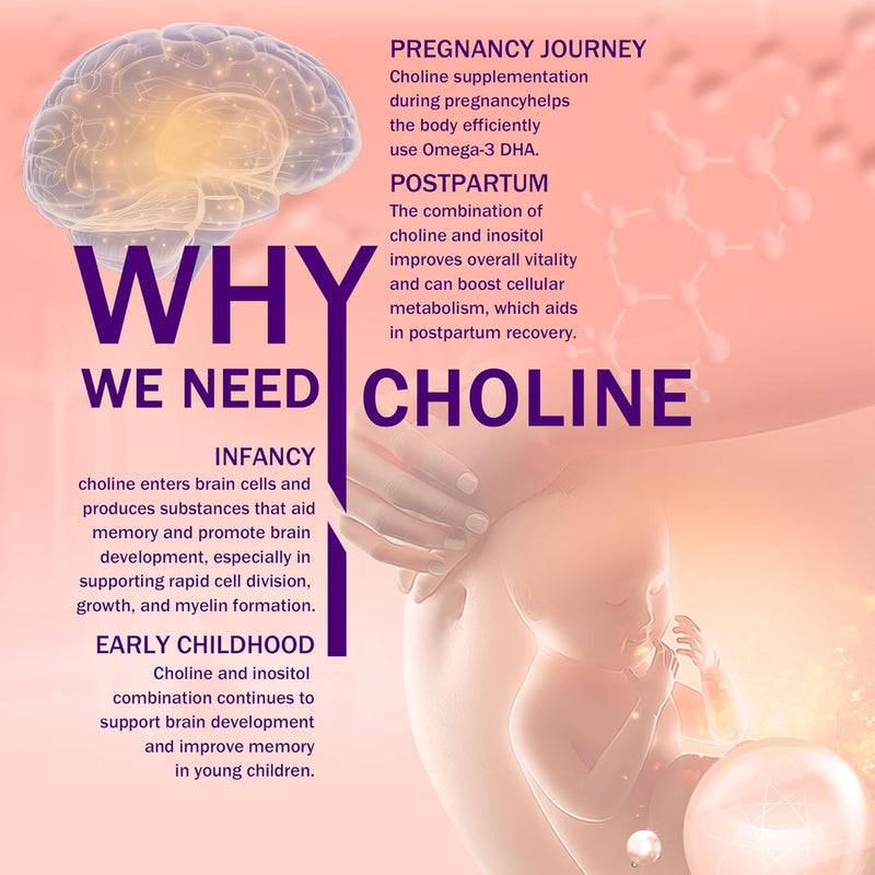 prenatal-choline-supplement-500mg-with-inositol-b1-4.jpg