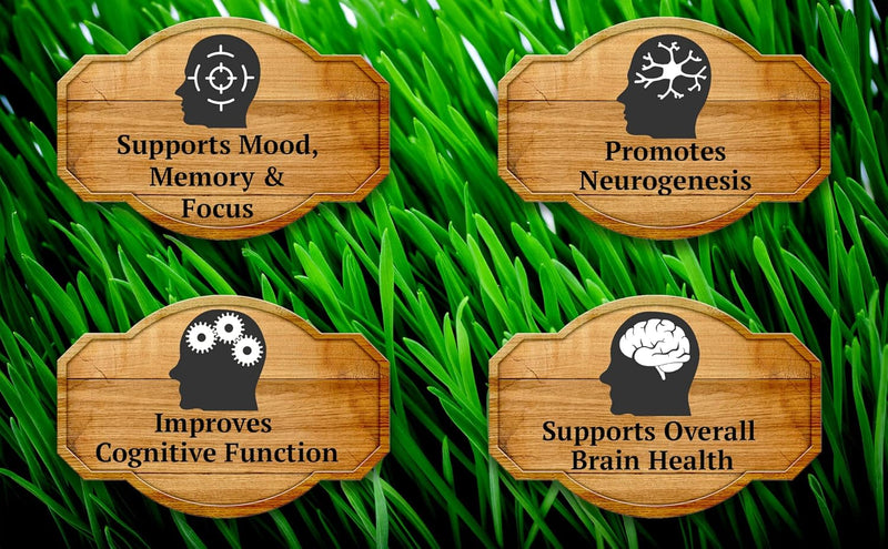 primal-being-grassfed-beef-brain-supports-memory-m-4.jpg