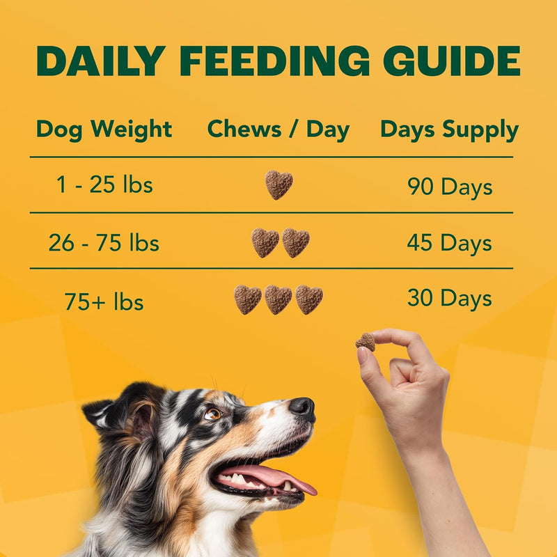 probiotics-for-dogs-with-prebiotics-fiber-chicory--5.jpg