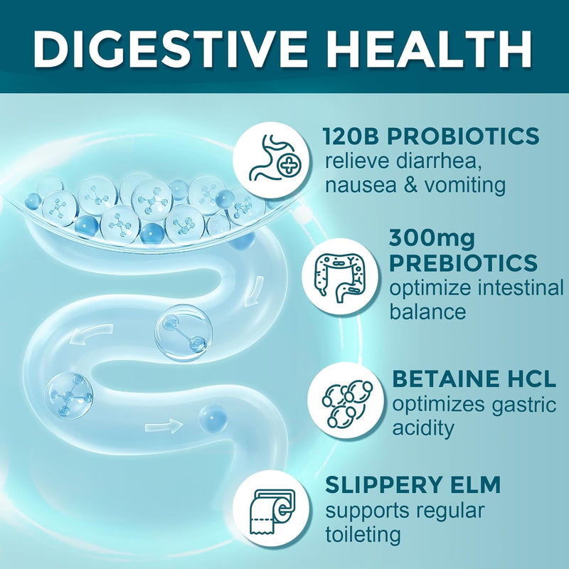 probiotics-for-women-men-digestive-health-with-120-billion-cfus-prebiotics-and-probiotics-for-women-men-digestive-enzymes-nutrient-absorption-immune-support-90-veggie-caps-45-days-supply-2