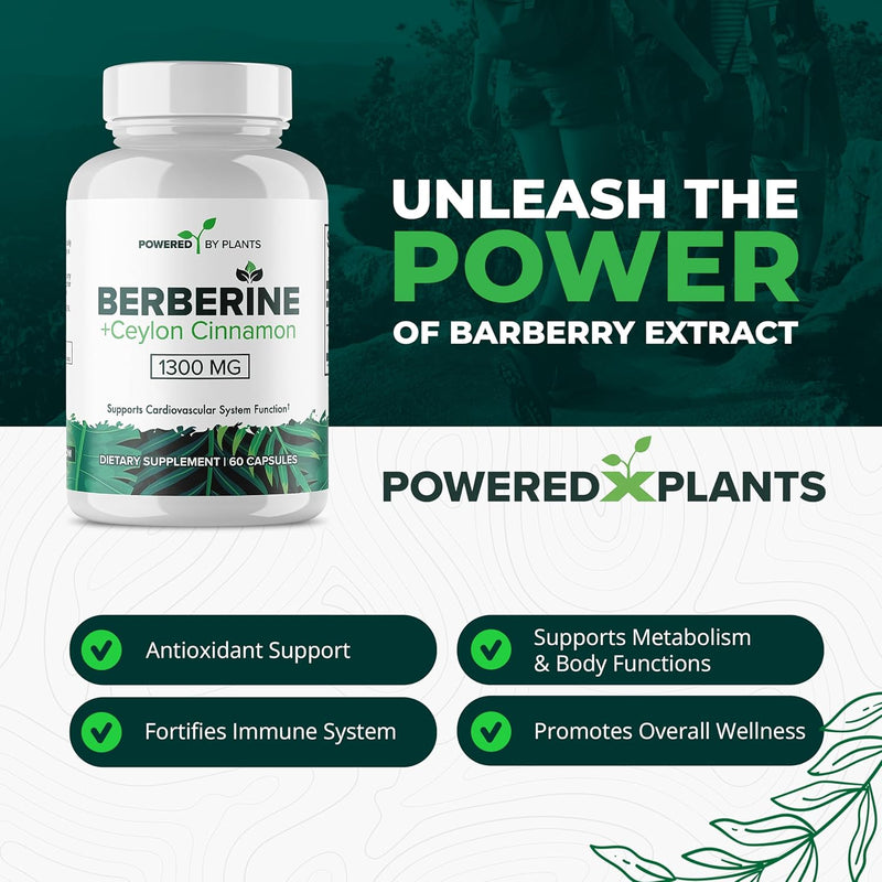 pure-berberine-supplement---1300mg-berberine-with--3.jpg