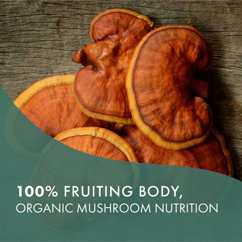 pure-essence-labs-mypure-reishi-4x-organic-mushroo-5.jpg