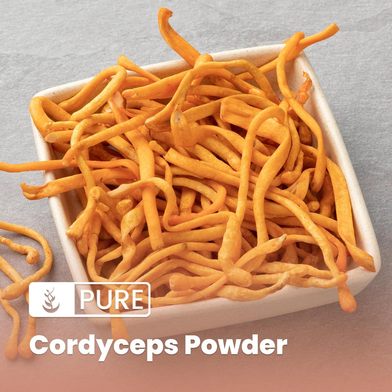 pure-original-ingredients-cordyceps-8oz-traditiona-3.jpg