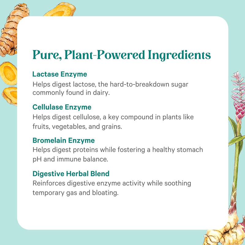 pure-synergy-enzyme-power-digestive-enzyme-supplement-digestive-health-enzymes-with-nattokinase-bromelain-and-serrapeptase-for-digestive-and-gut-health-90-capsules-4