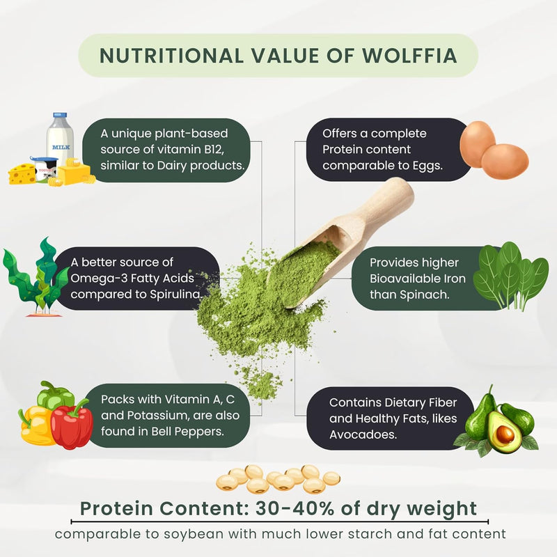 pure-wolffia-globosa-powder-high-protein-plant-bas-6.jpg