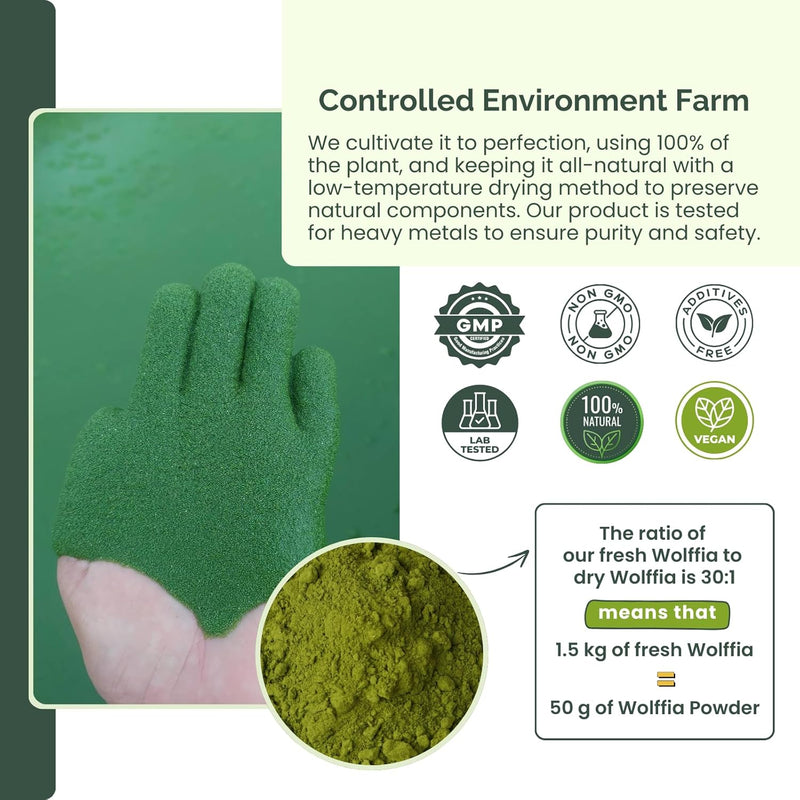 pure-wolffia-globosa-powder-high-protein-plant-bas-8.jpg