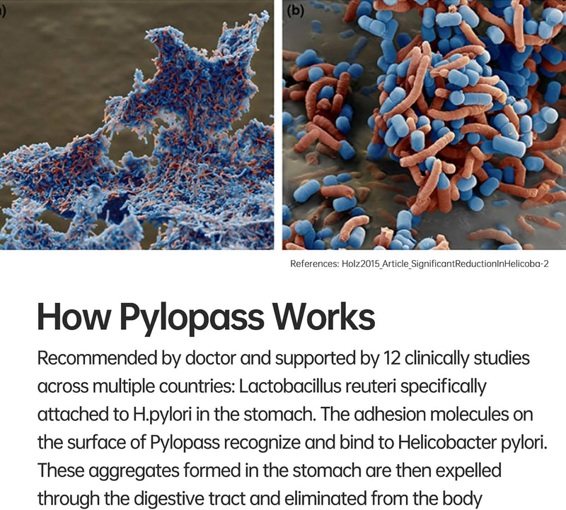 pylopass-probiotic-for-h-pylori-treatment-acidophi-3.jpg