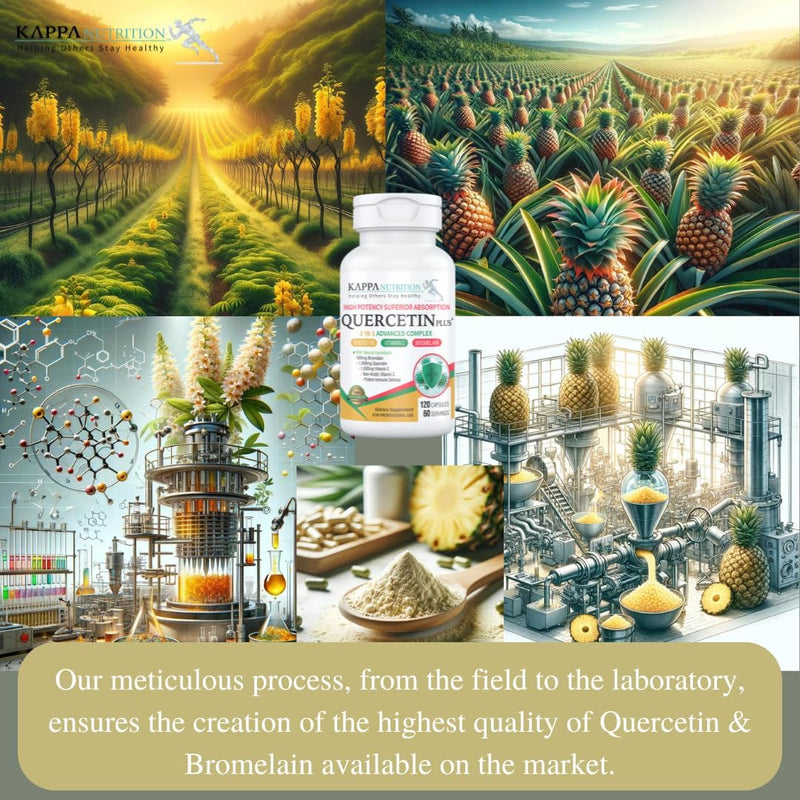 quercetin-plus-quercetin-1000mg-bromelain-500mg-an-5.jpg