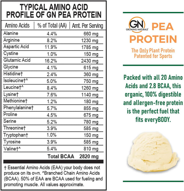 raw-pea-protein-powder-vegan-plant-based-protein-b-3.jpg