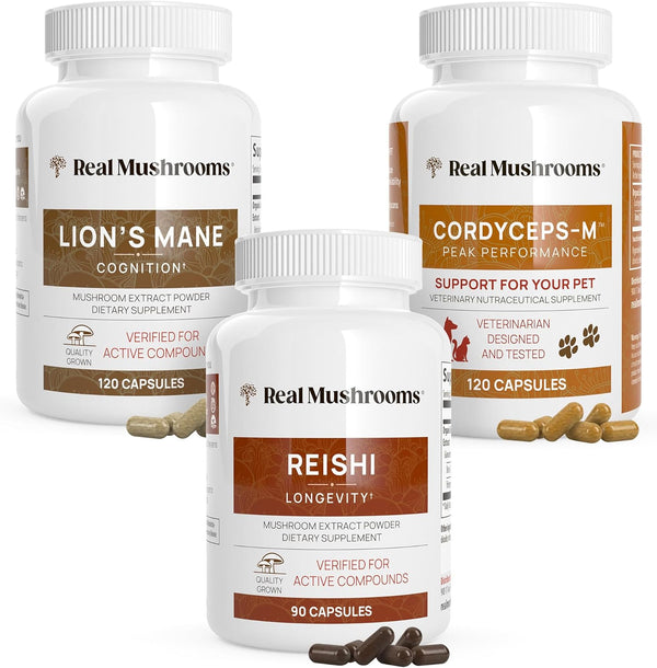 real-mushrooms-brain-vitality-immune-support-bundl-1.jpg