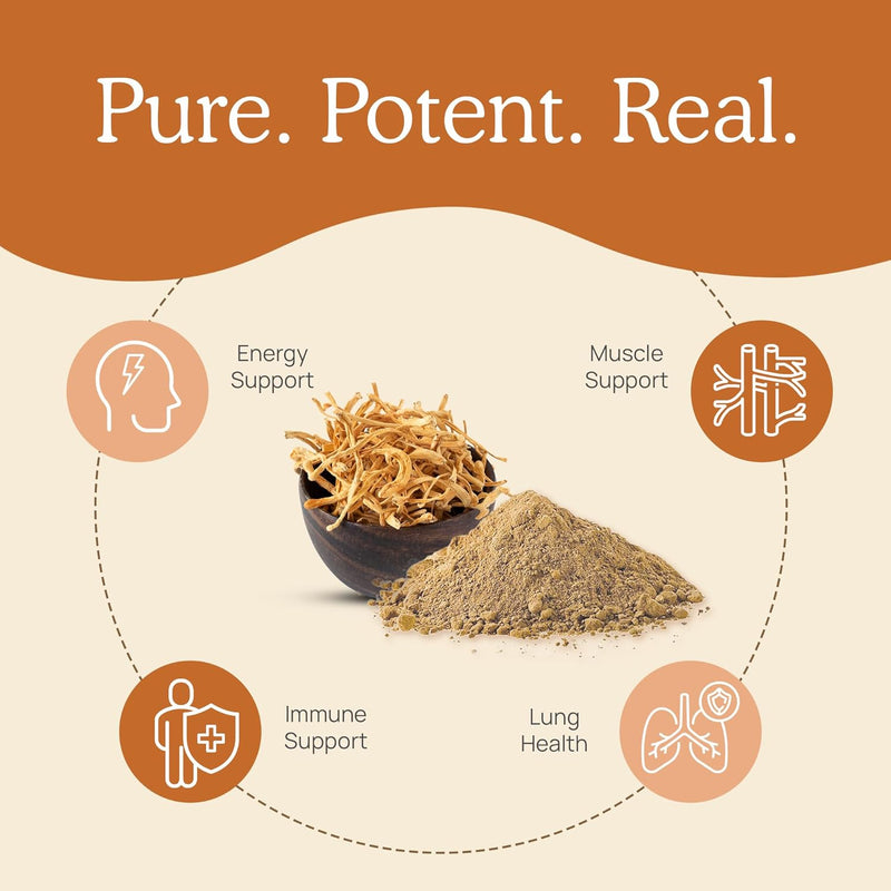 real-mushrooms-brain-vitality-immune-support-bundl-4.jpg