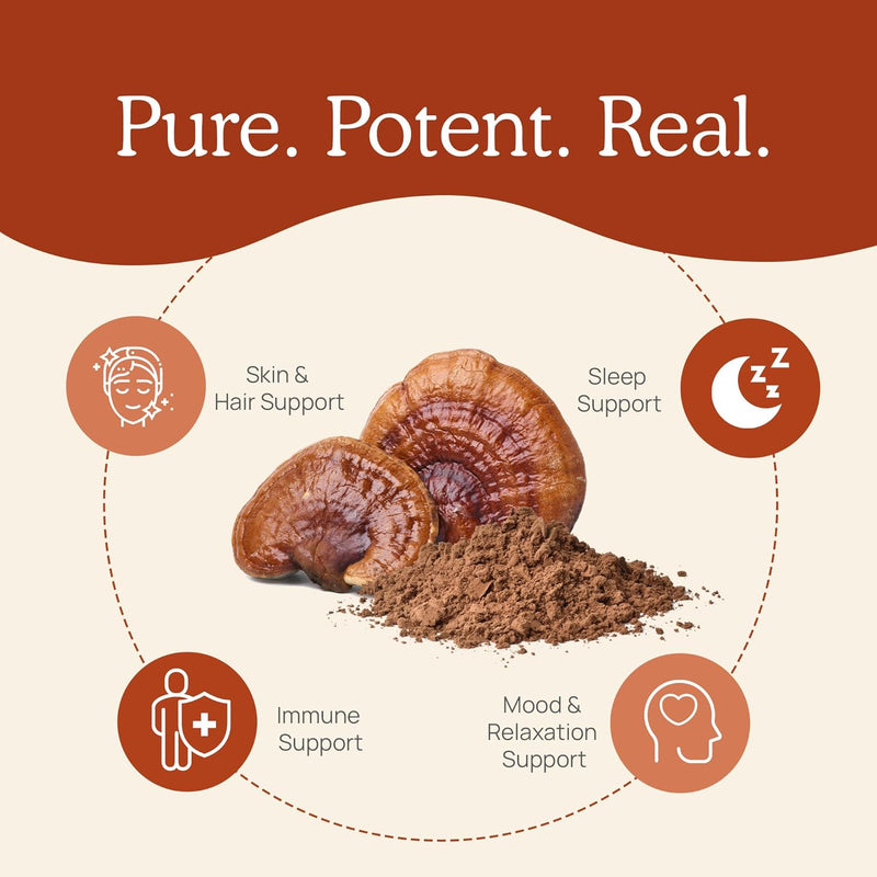 real-mushrooms-brain-vitality-immune-support-bundl-7.jpg