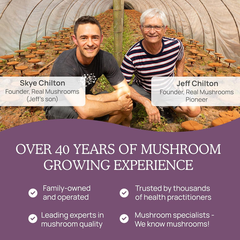 real-mushrooms-chaga-mushroom-capsules-organic-cha-7.jpg