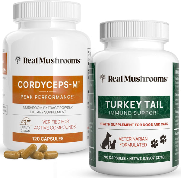 real-mushrooms-cordyceps-for-humans-120ct-turkey-t-1.jpg
