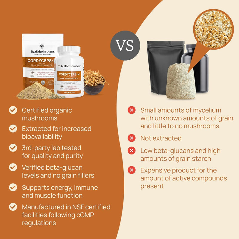 real-mushrooms-cordyceps-powder---performance-mush-5.jpg