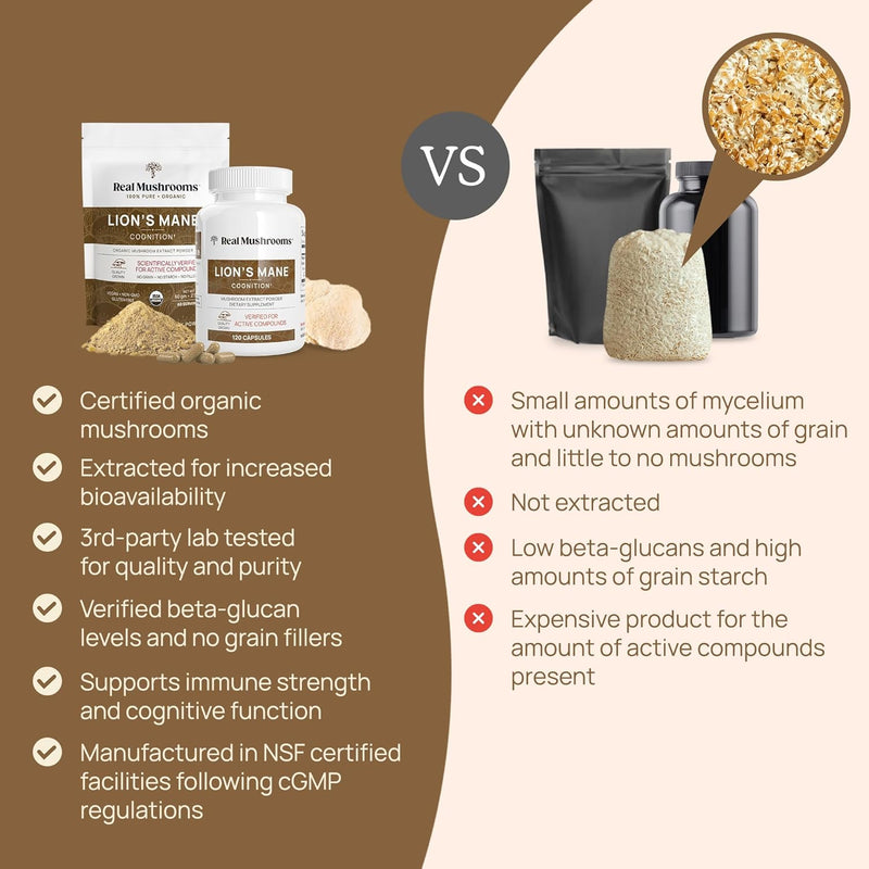 real-mushrooms-hot-chocolate-mix-15-servings-and-l-8.jpg