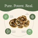 real-mushrooms-immune-support-cognition-performanc-4.jpg