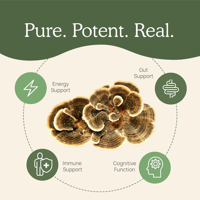 real-mushrooms-immune-support-cognition-performanc-4.jpg