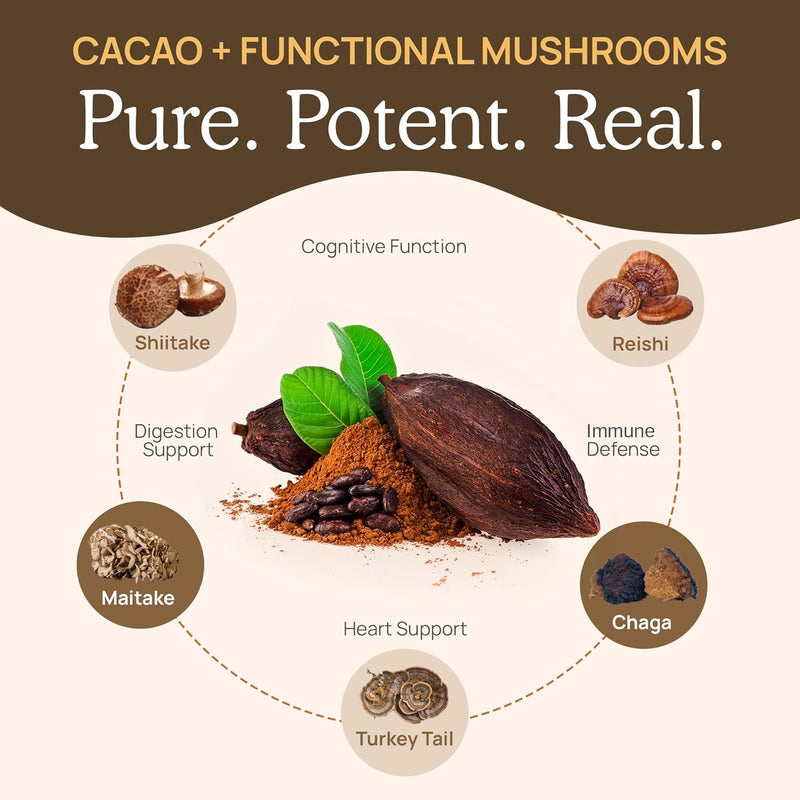real-mushrooms-organic-hot-chocolate-mix-with-5-de-4.jpg