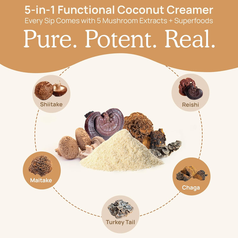real-mushrooms-plant-based-functional-coconut-crea-6.jpg