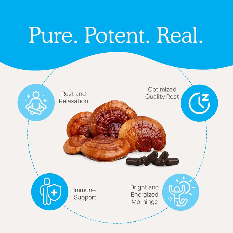 real-mushrooms-realrest-60ct-reishi-mushroom-capsu-4.jpg