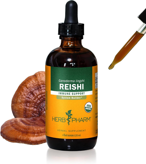 reishi-mushroom-liquid-extract-drops-immune-system-1.jpg